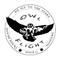 Owl flight